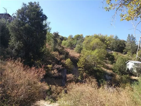 Cedar Glen, CA 92321,30044 Lignum Vitae