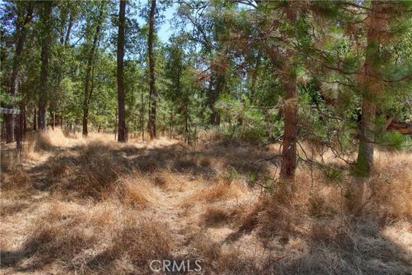 5581 Snow Creek Fall, Mariposa, CA 95338