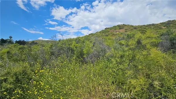 36100 Cherrywood, Yucaipa, CA 92399