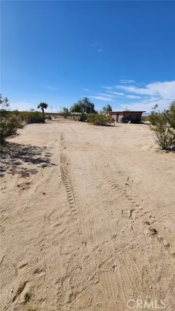 29 Palms, CA 92277,67826 Daisy