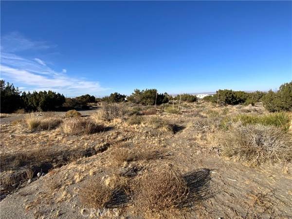 Pinon Hills, CA 92372,0 White Fox