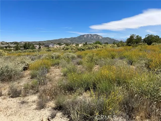 Aguanga, CA 92536,49320 Arroyo