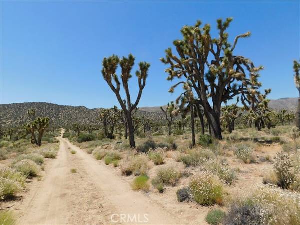 Lucerne Valley, CA 92268,0 Rorer