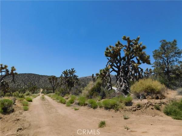 0 Rorer, Lucerne Valley, CA 92268