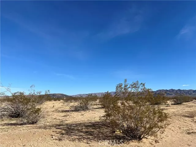 Joshua Tree, CA 92252,4625 Arizona