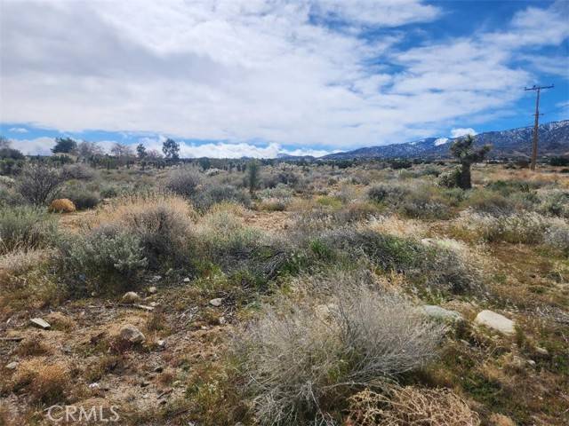 0 Oasis, Pinon Hills, CA 92372