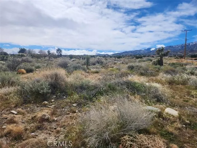 0 Oasis, Pinon Hills, CA 92372