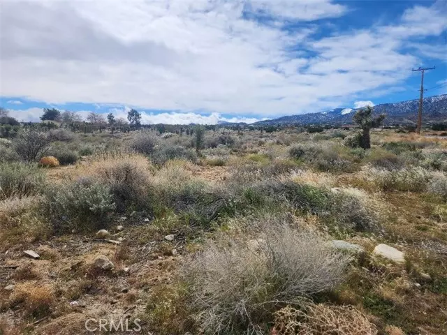 Pinon Hills, CA 92372,0 Oasis