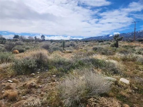 0 Oasis, Pinon Hills, CA 92372