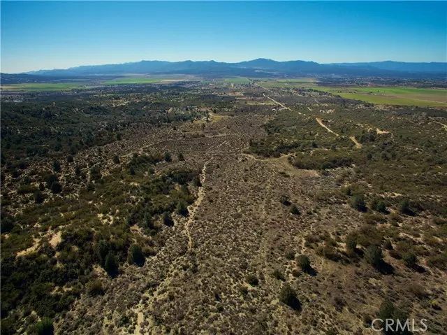 Anza, CA 92539,7 Old Forest