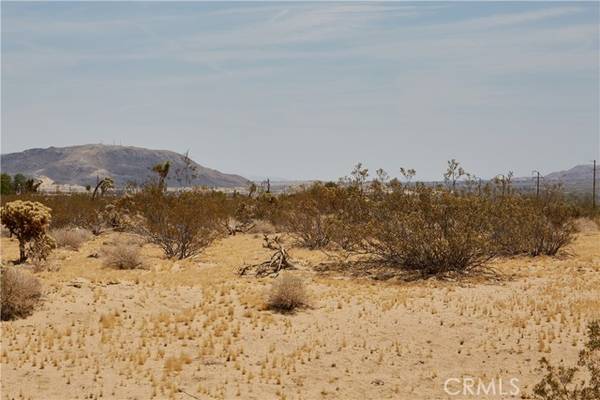 Joshua Tree, CA 92252,0 0 Border APN # 064261170000