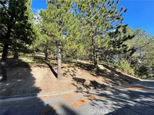 30067 Pixie, Running Springs, CA 92382