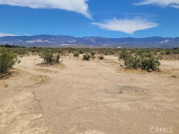 Lucerne Valley, CA 92356,0 Cobar