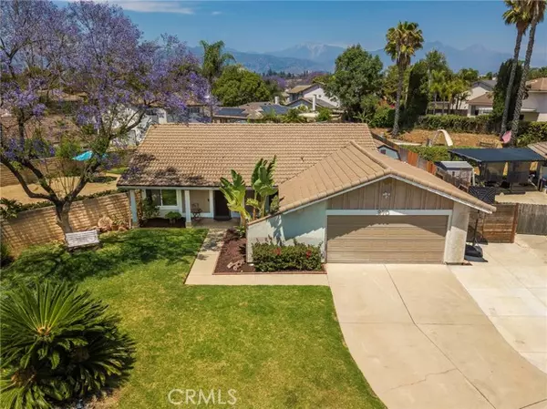 San Dimas, CA 91773,970 Airedale