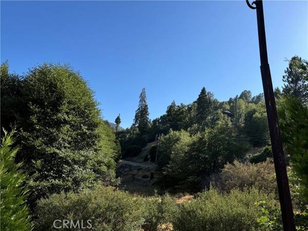 Cedar Glen, CA 92321,29602 Hook Creek