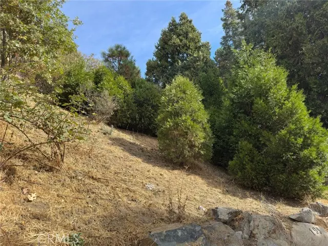 181 Fremont, Lake Arrowhead, CA 92352