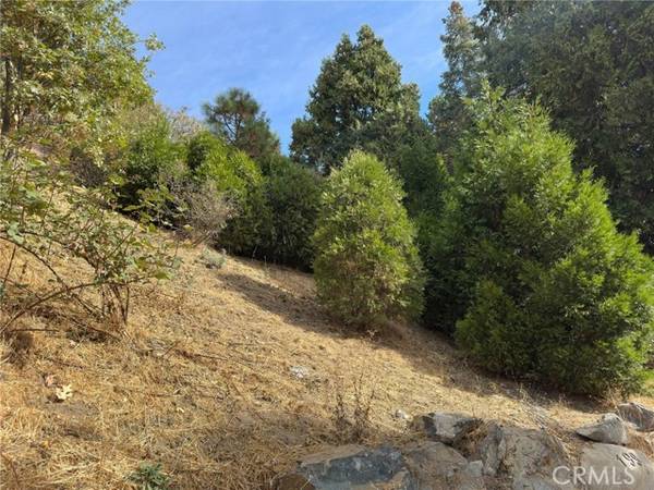 181 Fremont, Lake Arrowhead, CA 92352