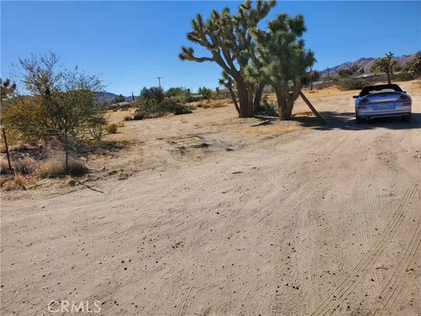 Yucca Valley, CA 92284,0 Palm Ave