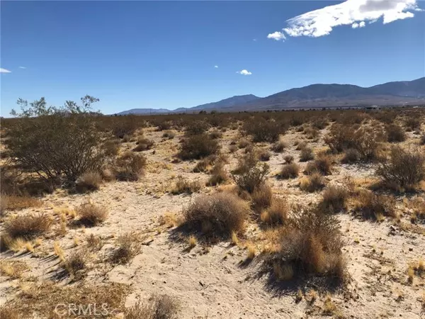 Lucerne Valley, CA 92356,0 Mojave