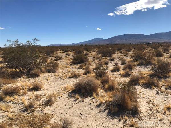 Lucerne Valley, CA 92356,0 Mojave