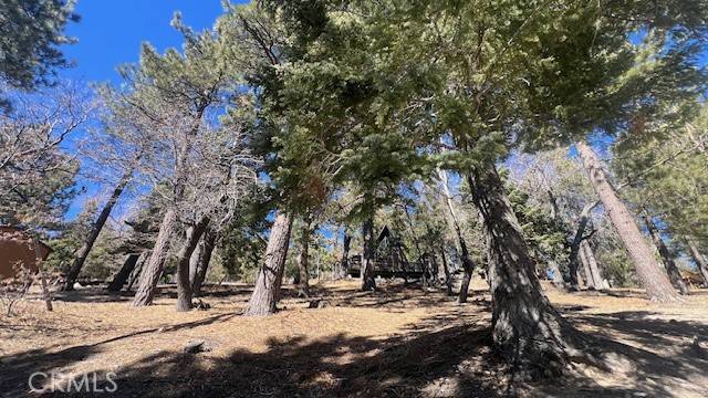 Green Valley Lake, CA 92341,33112 Juniper