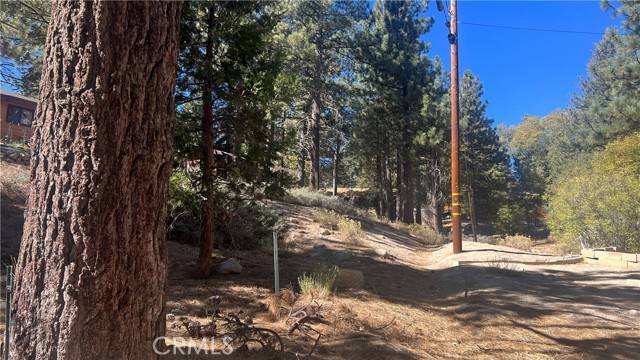 33275 Iris, Green Valley Lake, CA 92341
