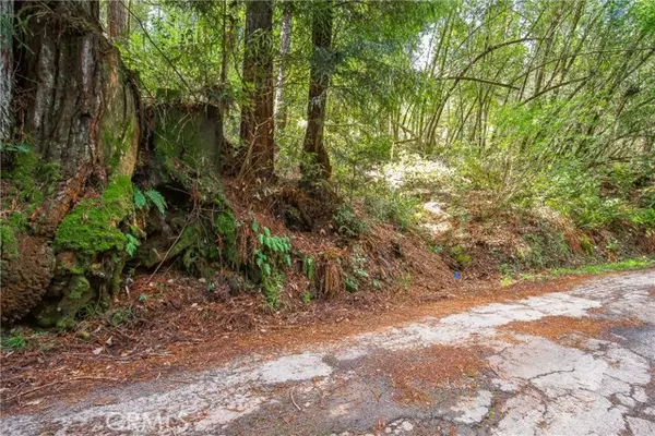 Cazadero, CA 95421,6185 Austin Creek