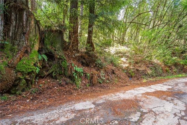 Cazadero, CA 95421,6185 Austin Creek