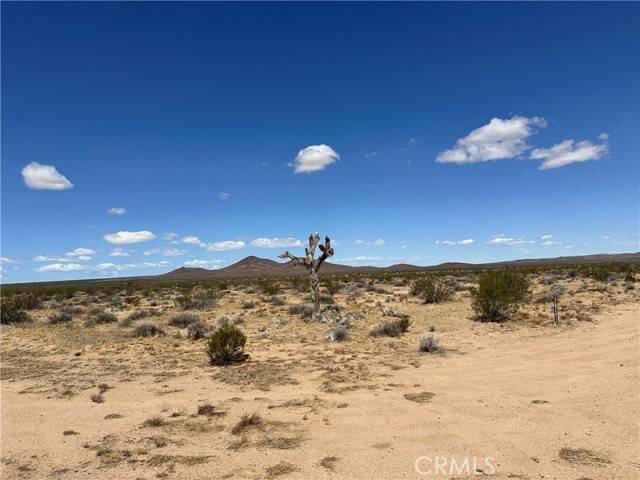 Adelanto, CA 62301,0 navajo/apache