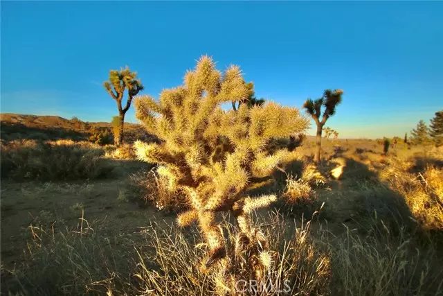 Yucca Valley, CA 92284,0 Onaga/Navajo