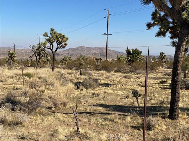 7800 La Contenta, Yucca Valley, CA 92284