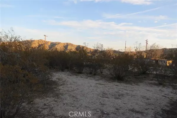 Morongo Valley, CA 92256,11103 Cholla