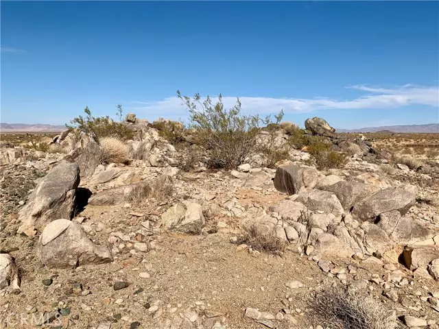 Landers, CA 92285,0 Summers (AKA: Sespe)