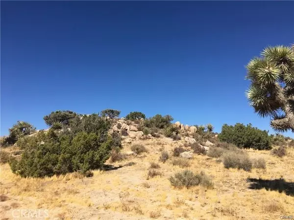 Yucca Valley, CA 92284,0 Sable