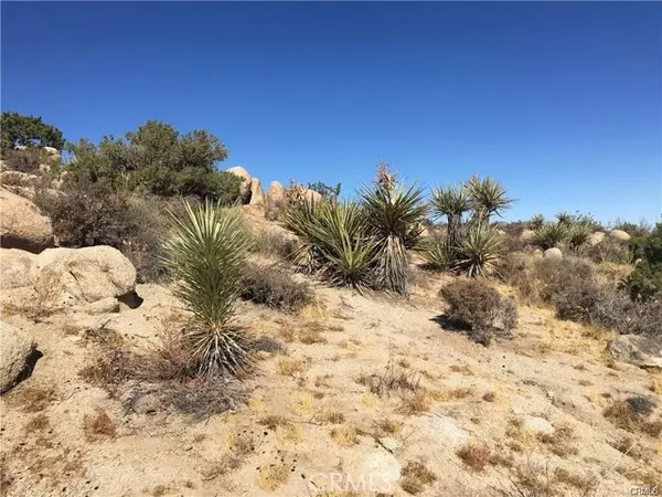 Yucca Valley, CA 92284,0 Sable