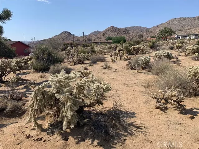 Joshua Tree, CA 92252,0 Onaga