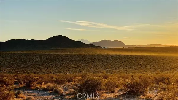 Joshua Tree, CA 92252,1000 Sunever