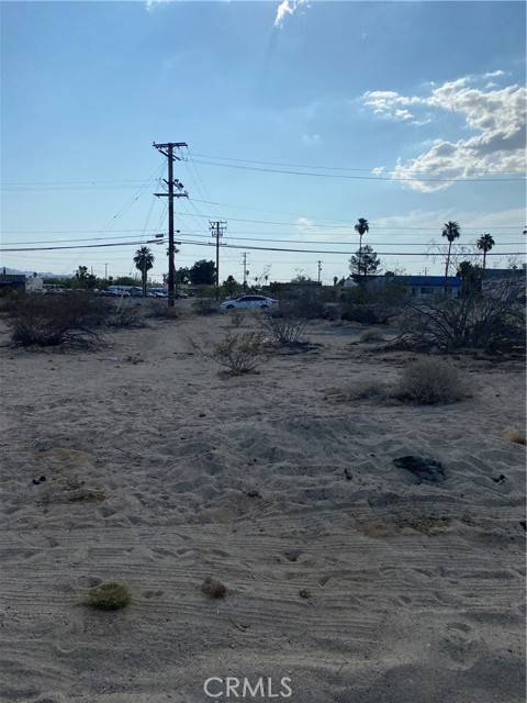 29 Palms, CA 92277,5972 Ocotillo