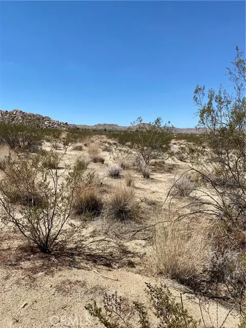 Joshua Tree, CA 92252,66100 Cottonwood