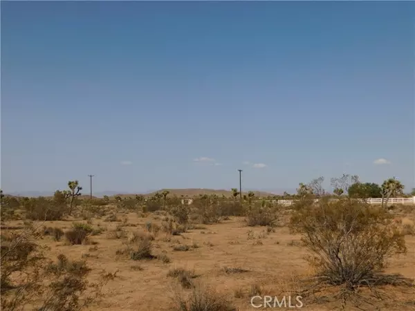 Yucca Valley, CA 92284,0 Balsa