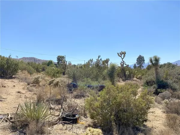 Yucca Valley, CA 92284,1234 Highland