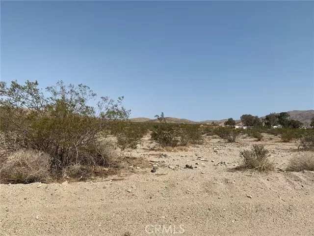 29 Palms, CA 92277,0 Park