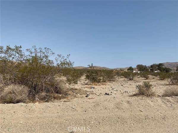 0 Park, 29 Palms, CA 92277