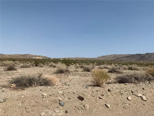 29 Palms, CA 92277,0 Park