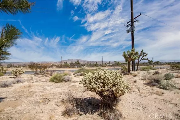 Joshua Tree, CA 92252,60195 Alta Loma