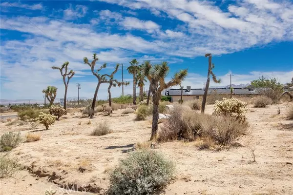 Joshua Tree, CA 92252,60195 Alta Loma