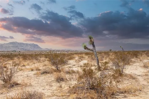 Joshua Tree, CA 92252,4444 Avenida La Candela