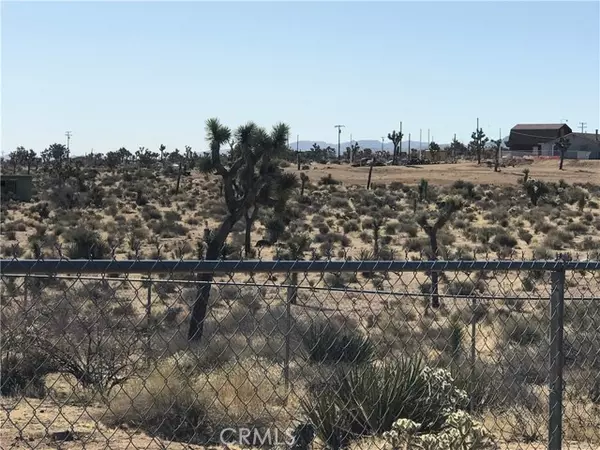 Yucca Valley, CA 92284,56949 Campanula