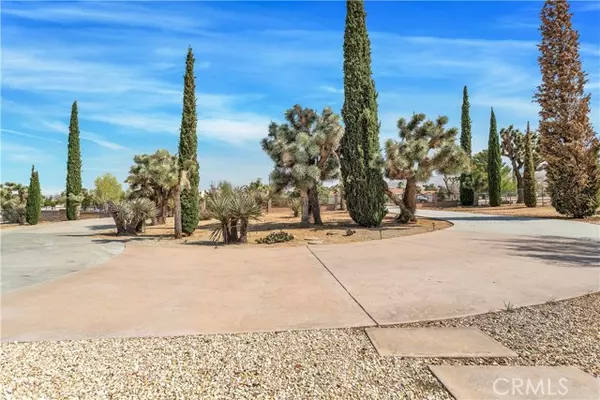 Yucca Valley, CA 92284,58449 Joshua Lane