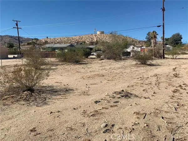 29 Palms, CA 92277,0 Oasis